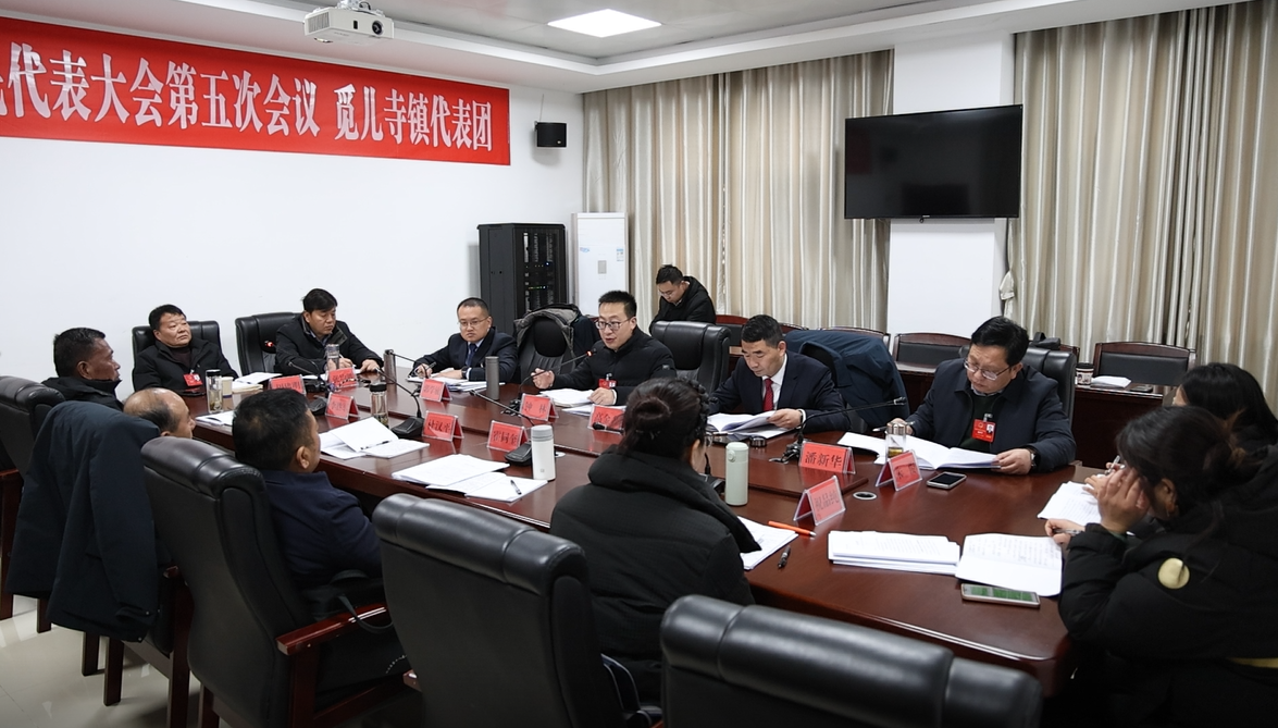 钟林参加觅儿寺镇代表团审议