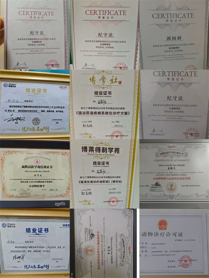 d9a474c1a970cd85593f312001bf662e82252030c5b2c48f89fd3fcfe75e5e47