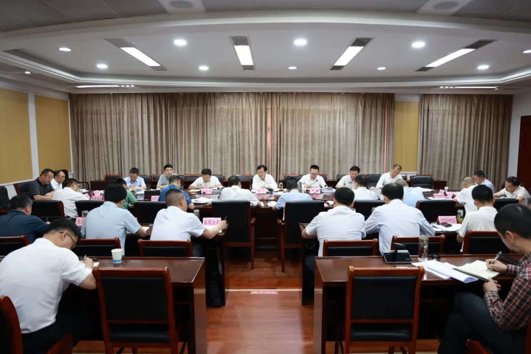 红安县召开县属国企深化改革暨国资国企专项整治工作专题...