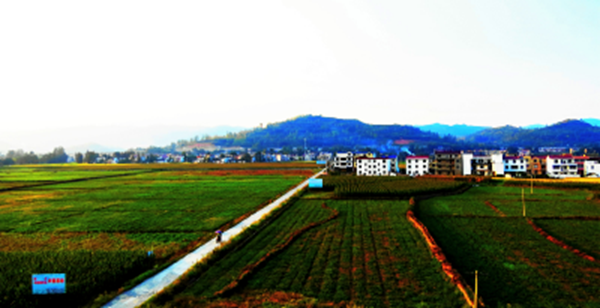 《党旗飘飘》三溪沟村：党建引领“酿”造新生活