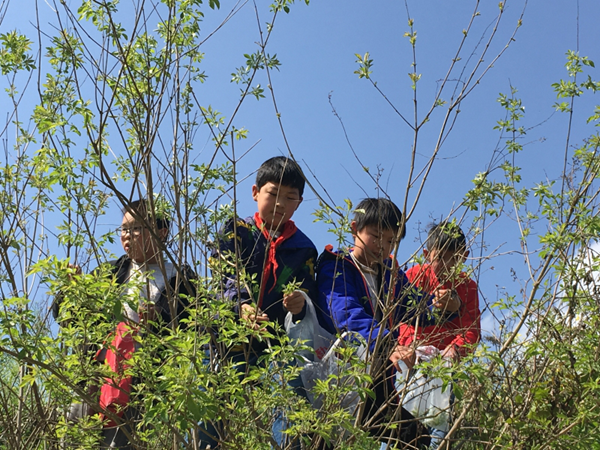 青峰镇楼房小学开展相约春天户外寻宝踏青活动