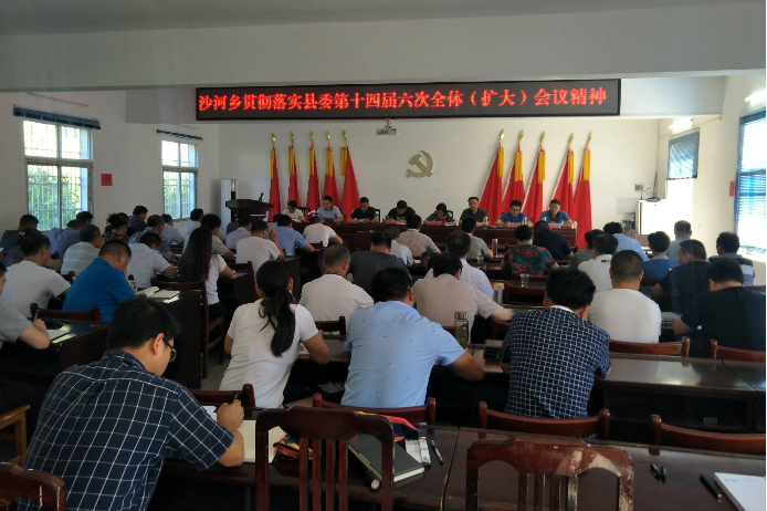 沙河乡传达贯彻县委十四届六次全体扩大会议暨半年工作总结会议精神