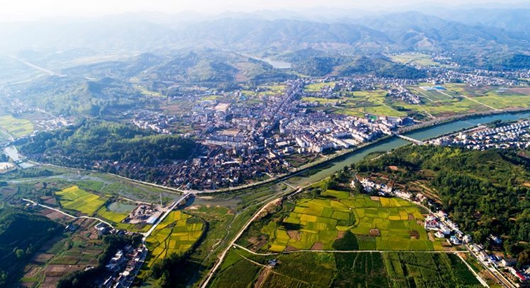 军店镇中村村谋划长远打造生态宜居环境美