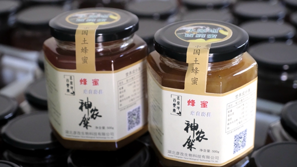 考古博士“烧脑”四川文物“卖萌” 汉代陶狗像印上牵狗绳_