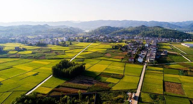 军店镇多举措确保春节期间廉洁过节 