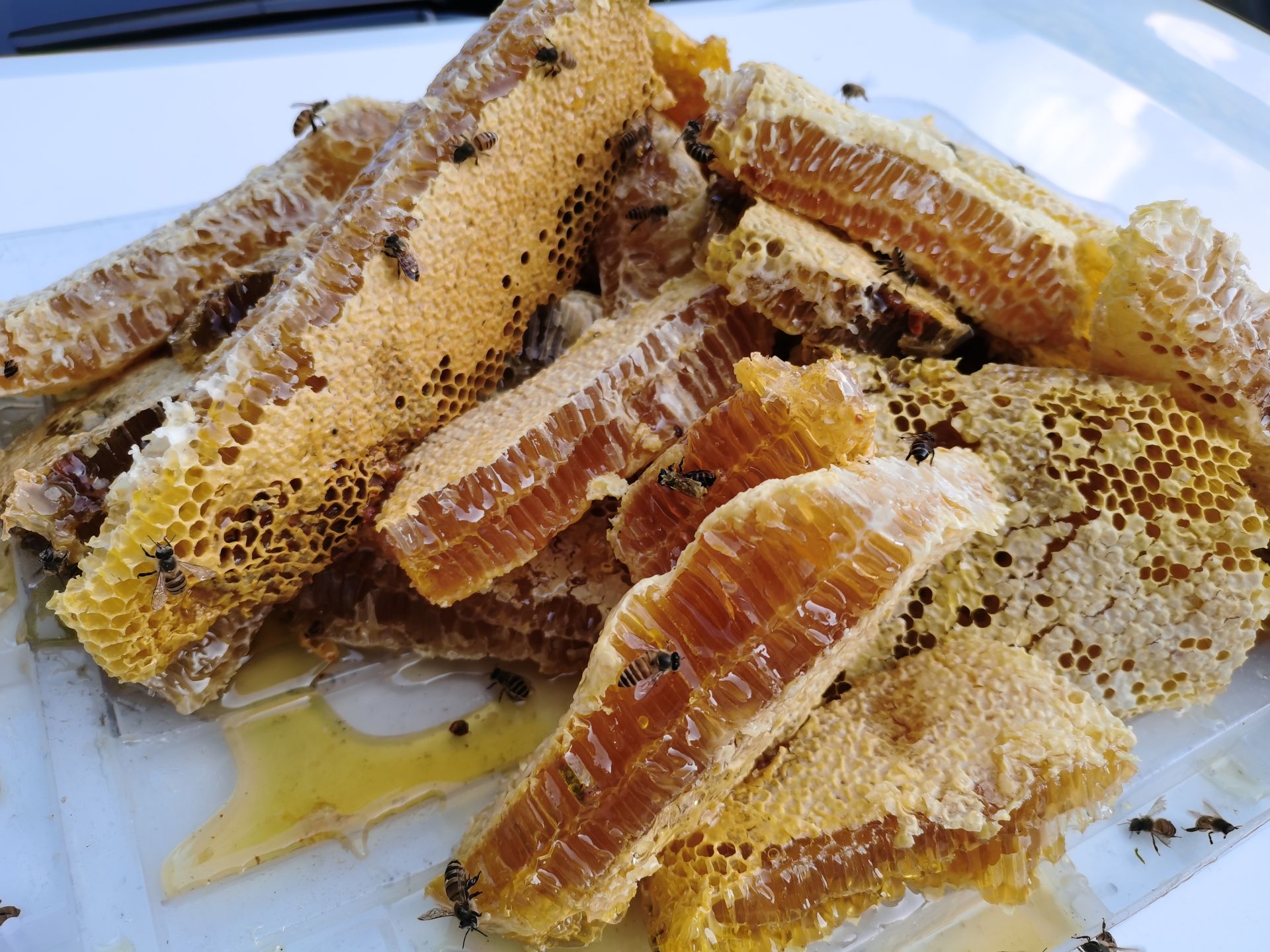 上龛乡崖蜜甜蜜丰收