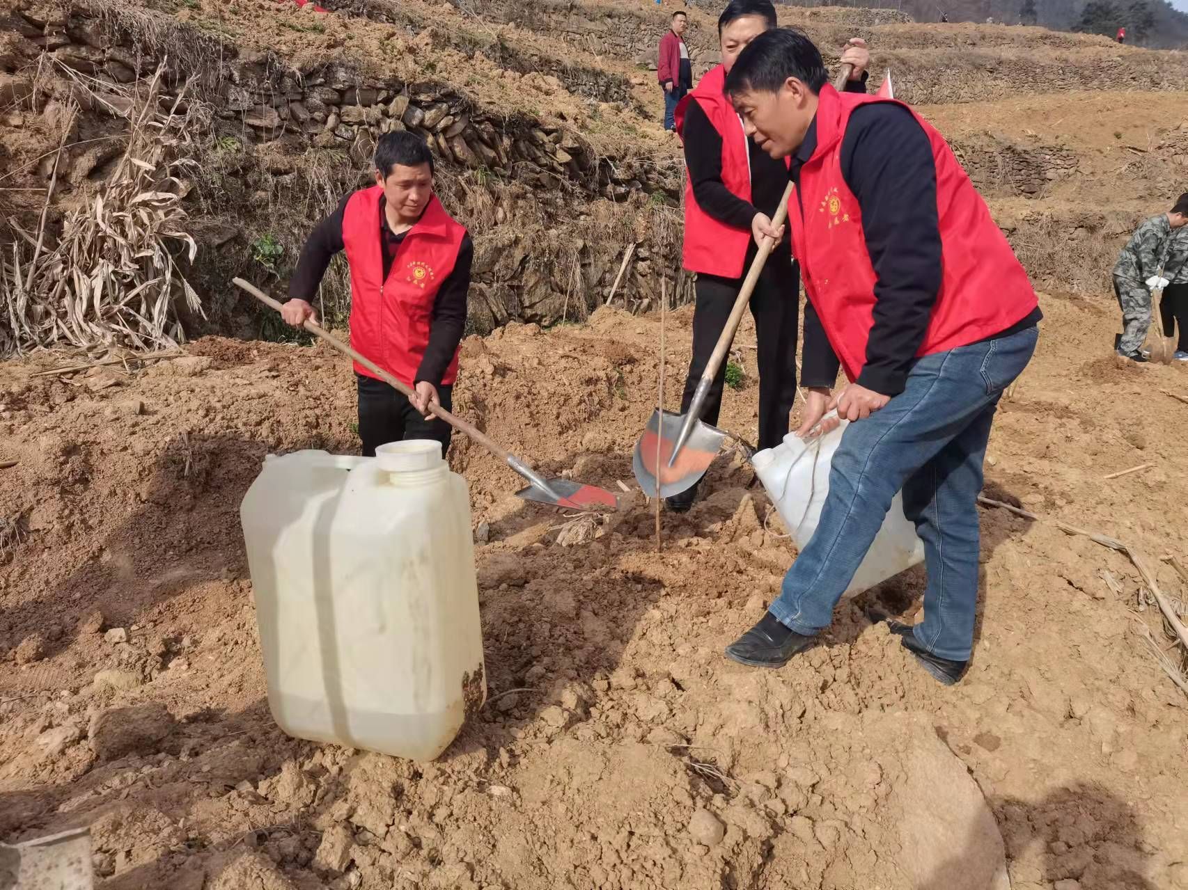 房縣萬峪河鄉春風十里植樹正當時