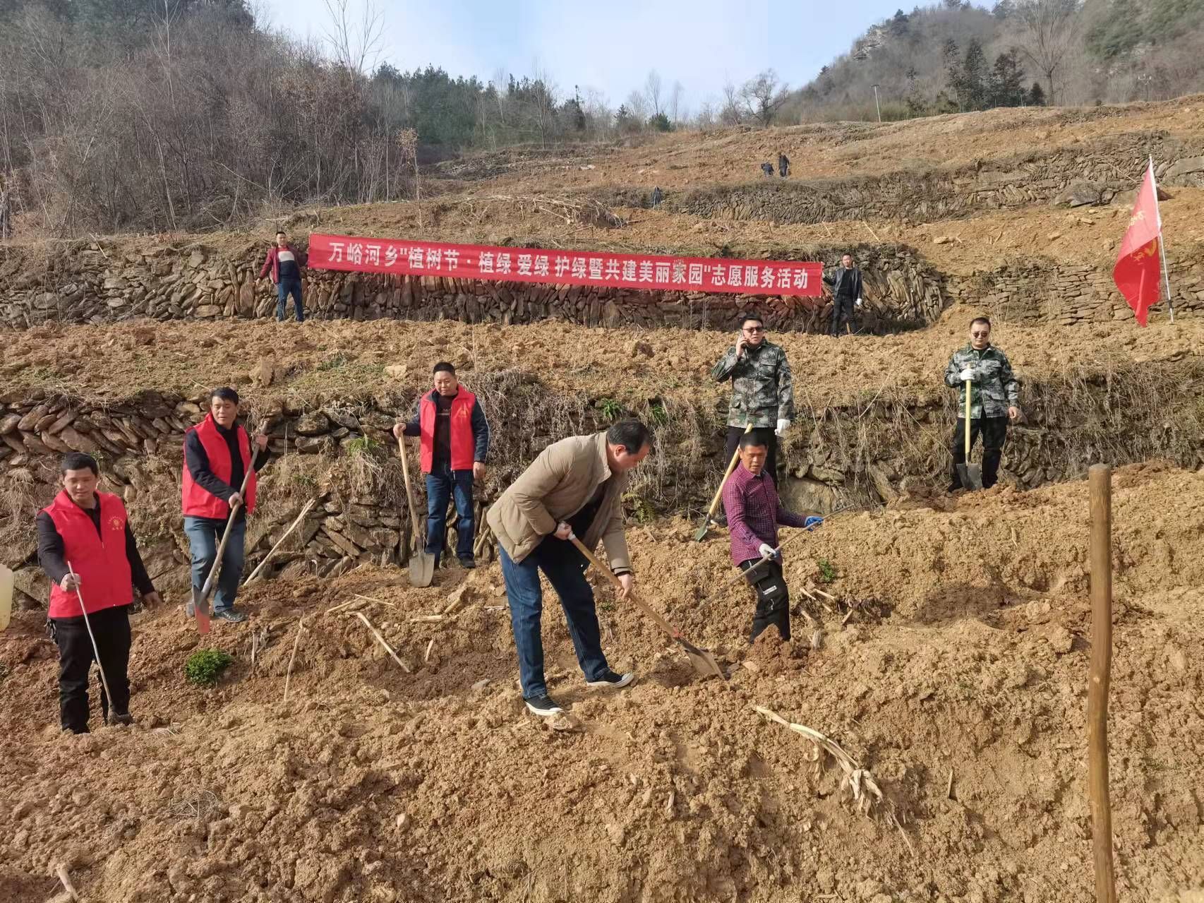 房县万峪河乡春风十里植树正当时