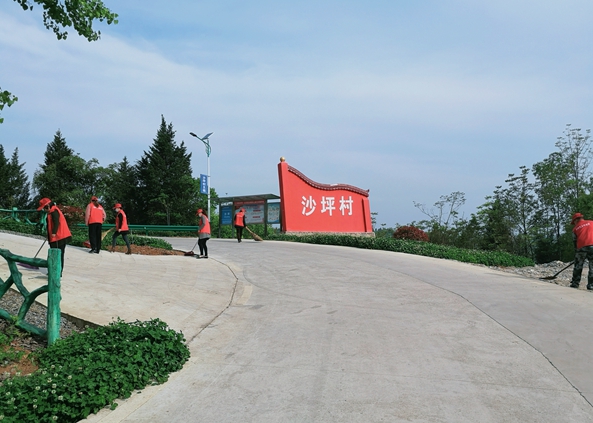 红塔镇沙坪村红色引领产业发展绿色带动乡村振兴