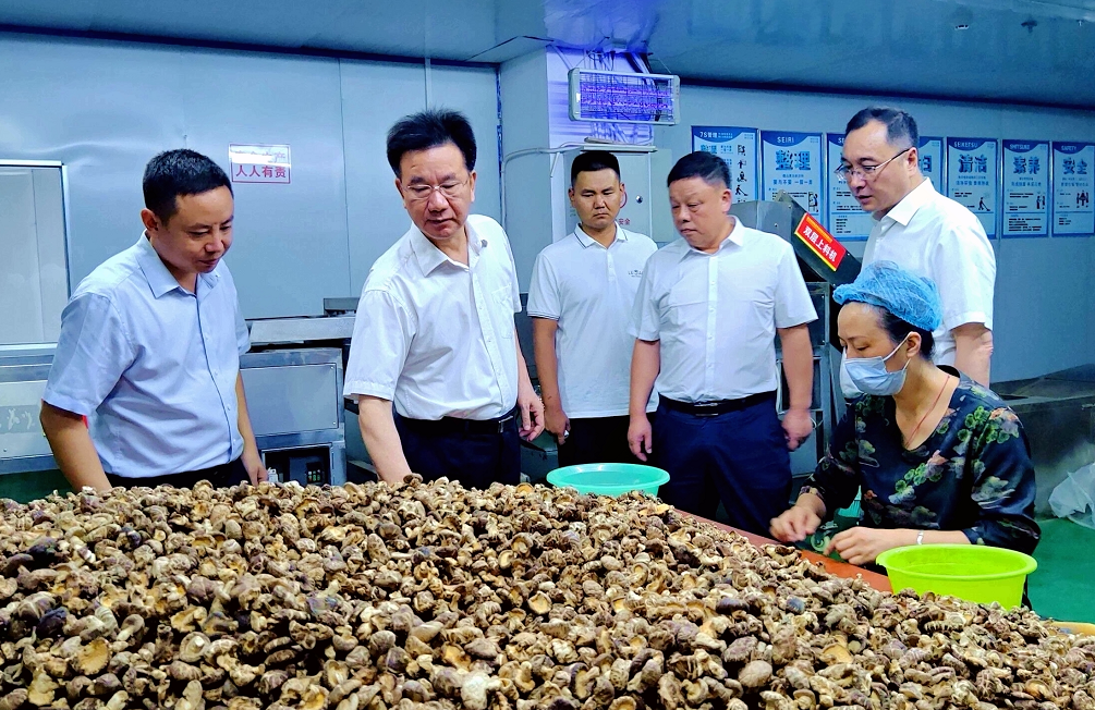 曹松来房县调研供销社综合改革工作