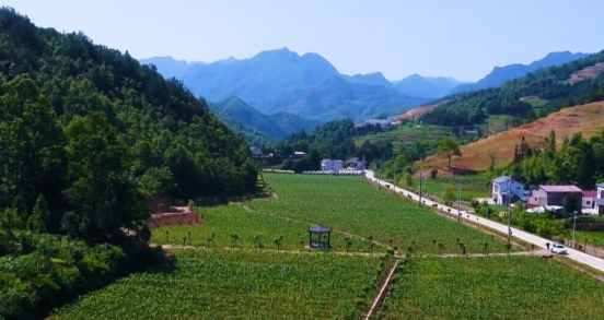 门古寺镇项家河村以三变开路助推村集体经济发展