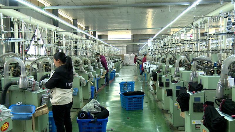 白鹤镇袜业工厂供销两旺助力乡村产业振兴