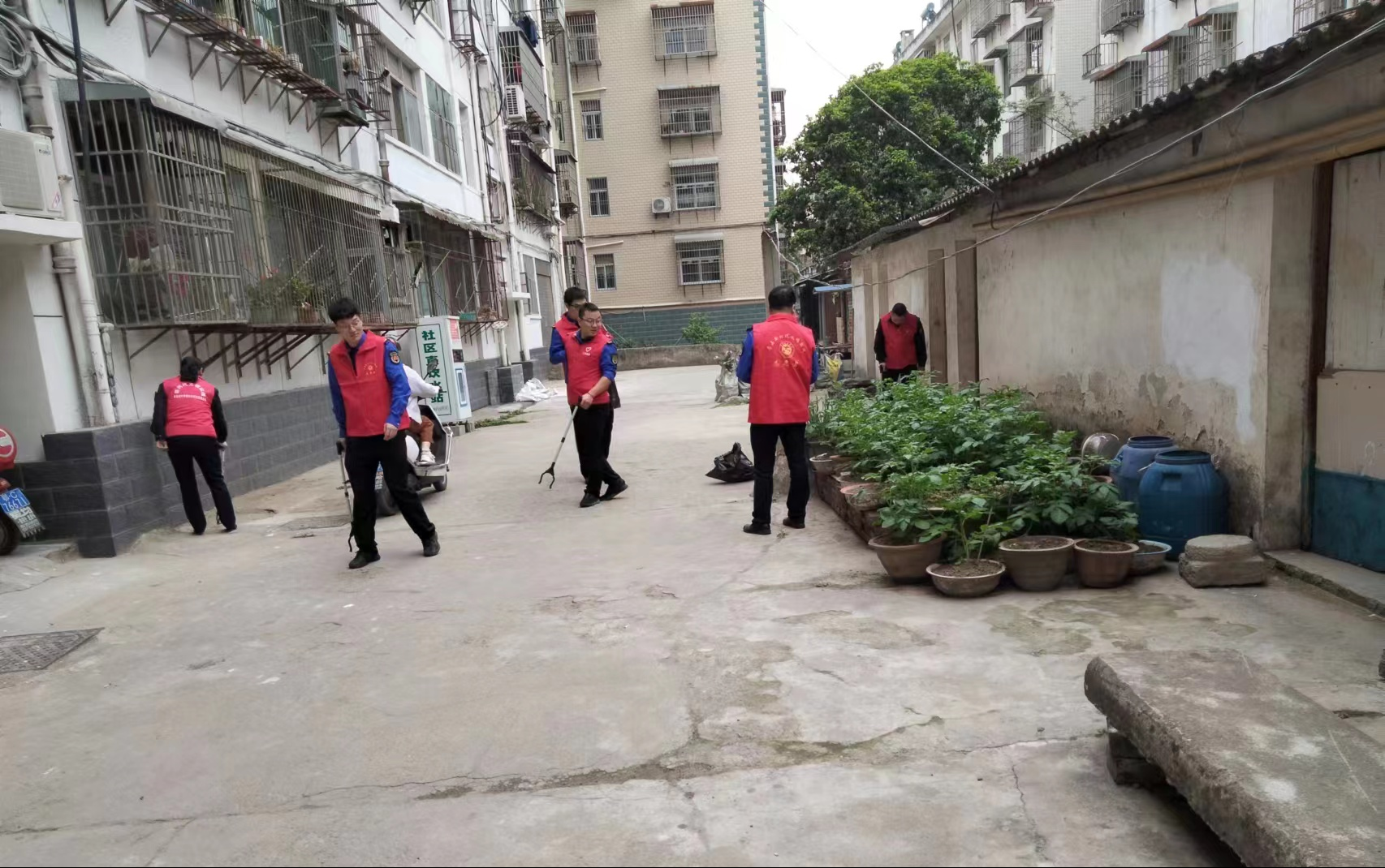 城管执法局二十余名青年志愿者兵分四路,在诗源华府,天一路北小区,西