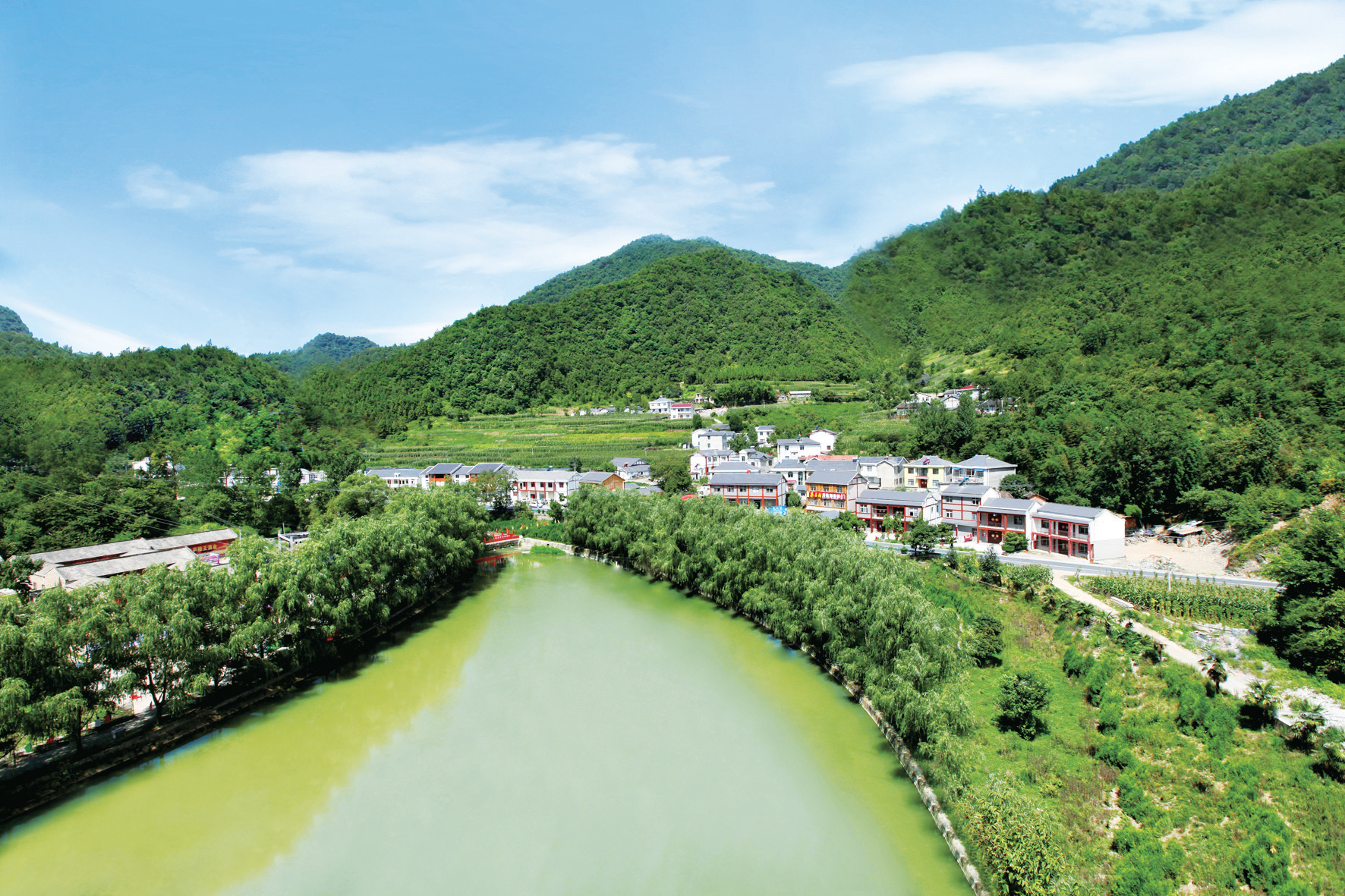 绿脉千里无限生机房县林业高质量发展扫描