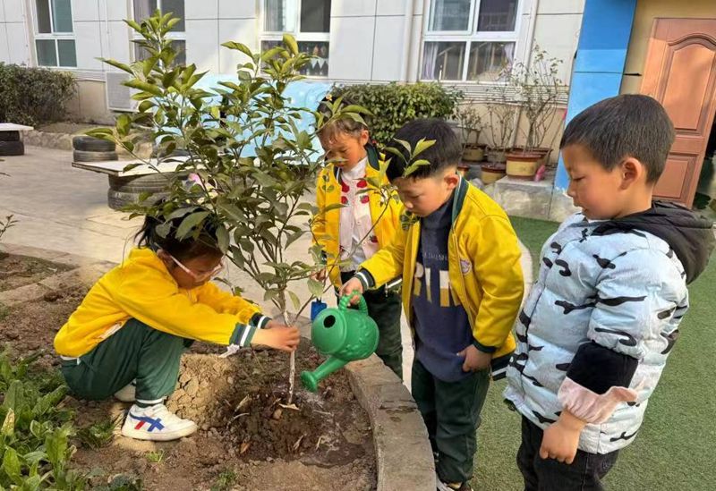 幼儿园植树节活动照片图片