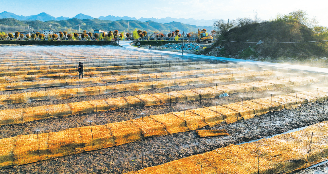 房县：建设节水工程 助力农业增效