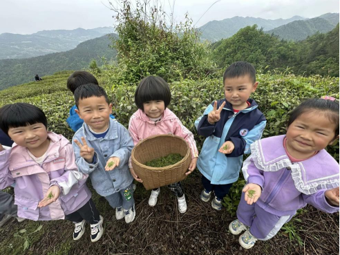 尹吉甫镇中心幼儿园开展“上春山 趣采茶”实践活动