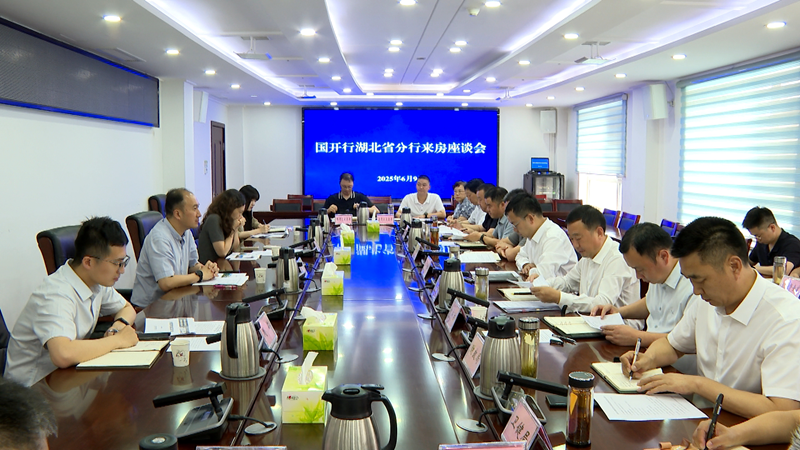 杨丹华与国开行湖北省分行潘峰一行座谈