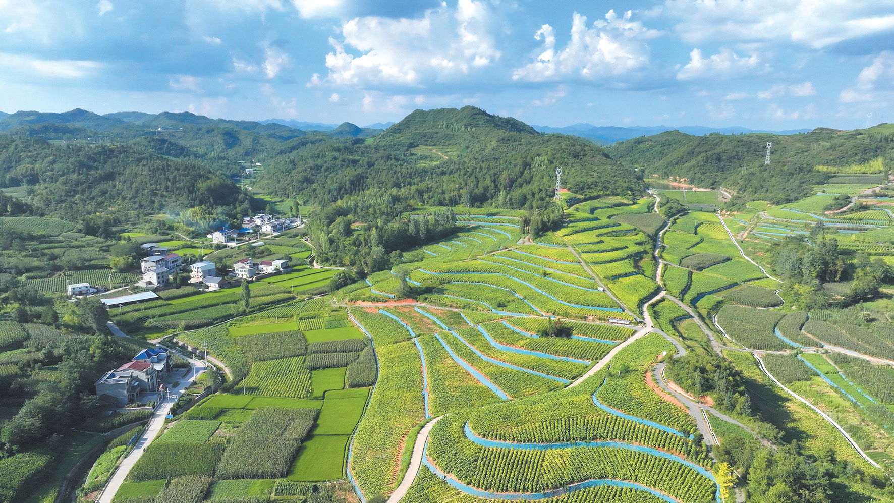 “望天田”变高产田