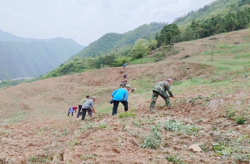 野人谷镇：秋播正当时 静待好丰景