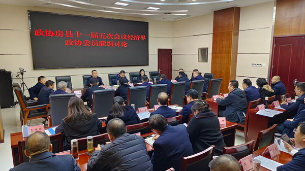 杨丹华参加政协经济界联组讨论