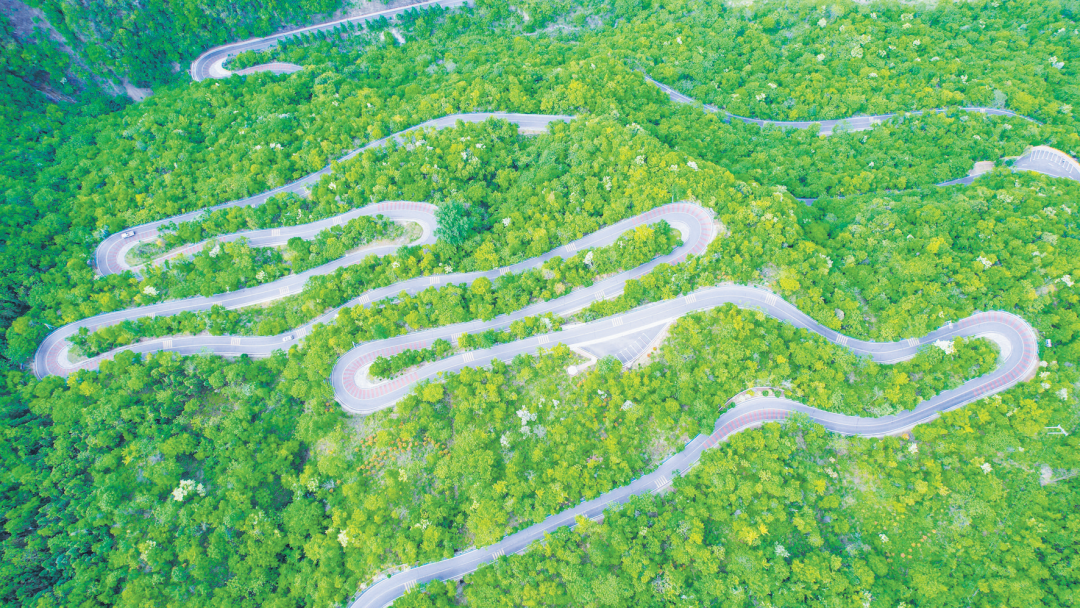 外媒看房县 | 房县：擦亮生态底色 激活绿色动能