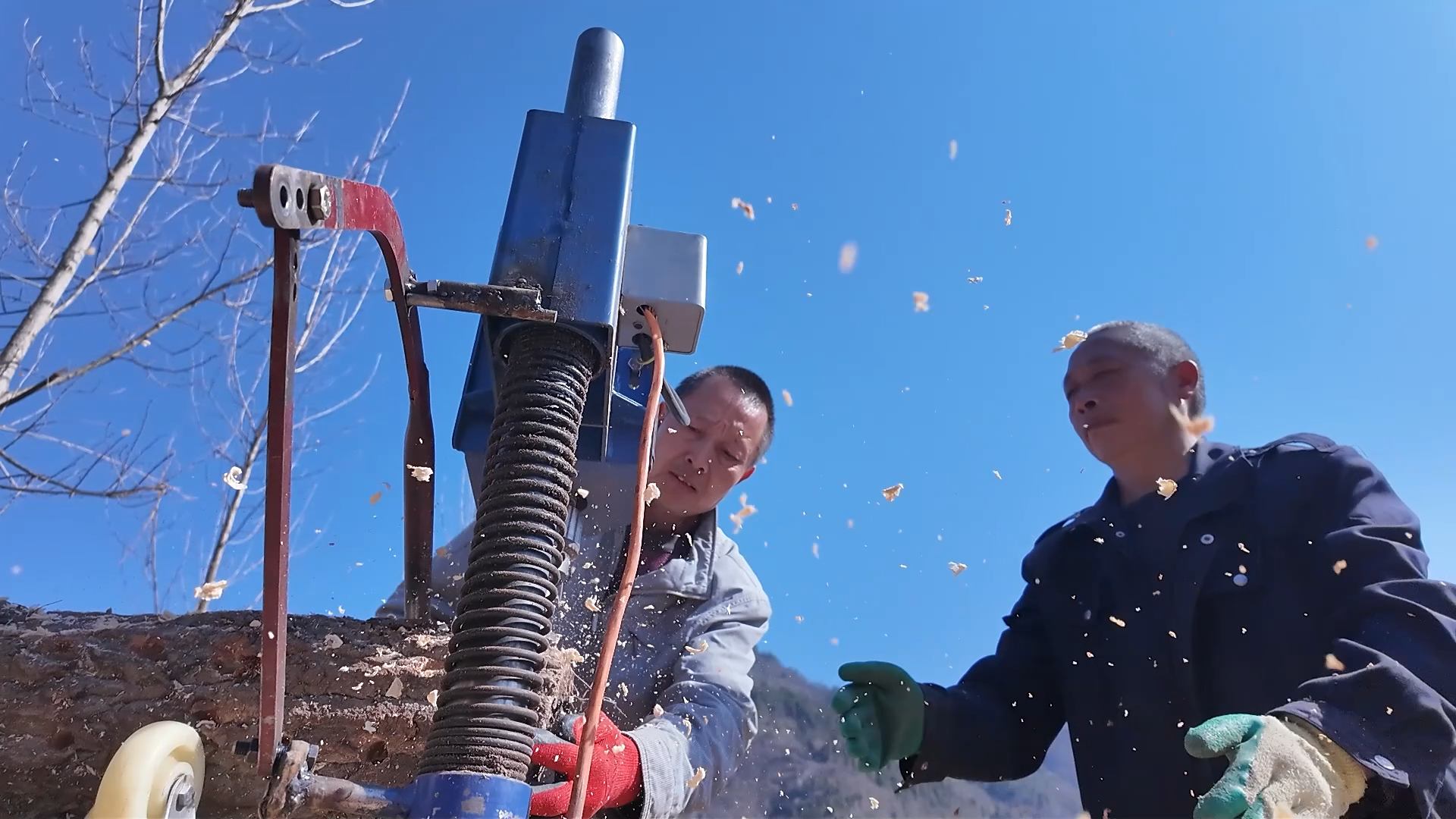 房县：50万棒椴木香菇 激活乡村经济“一池春水”