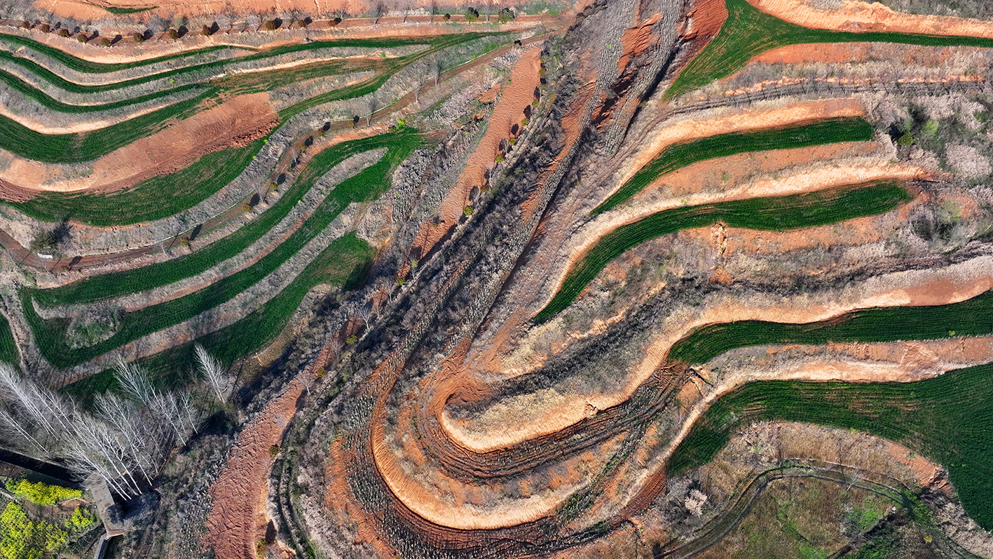 房县：“荒山岗”变身高产“粮田”