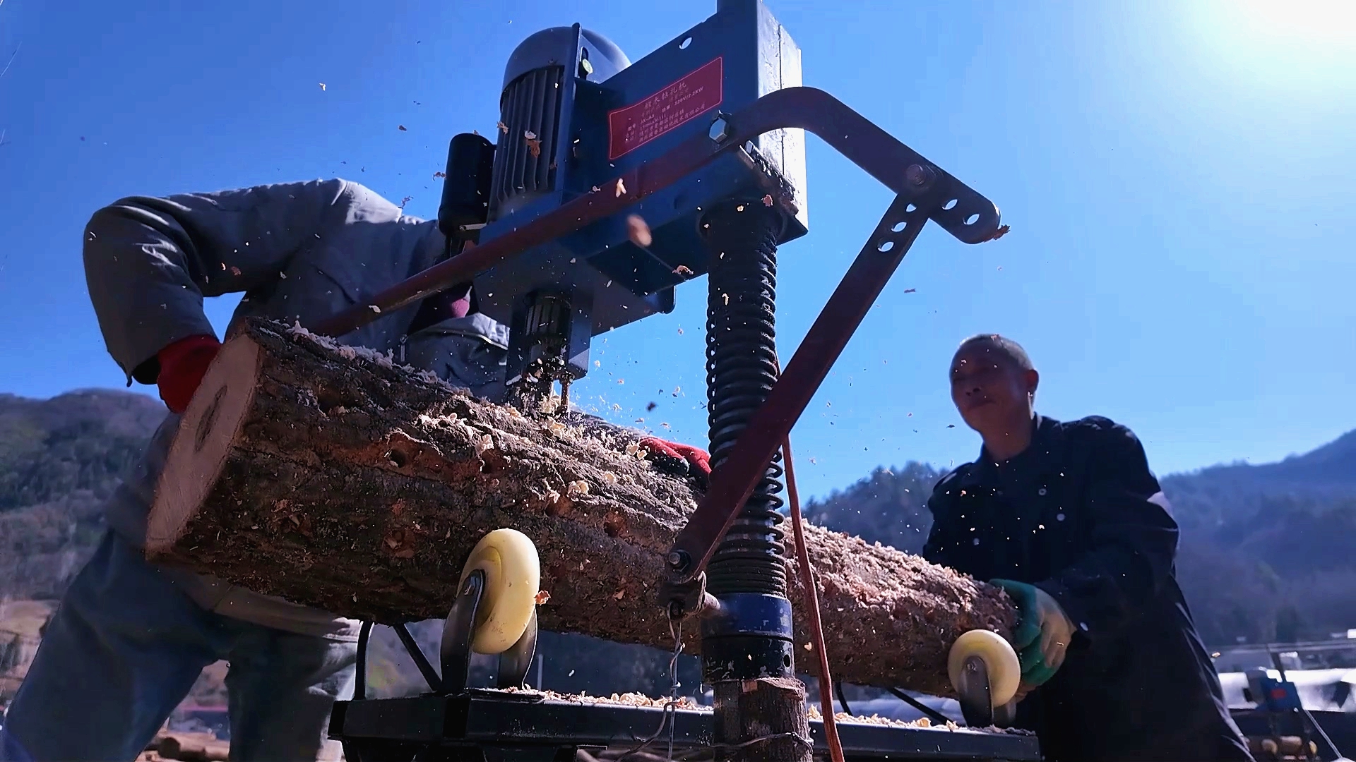 【记者走基层】上龛乡：50万棒椴木香菇激活林下经济“一池春水”