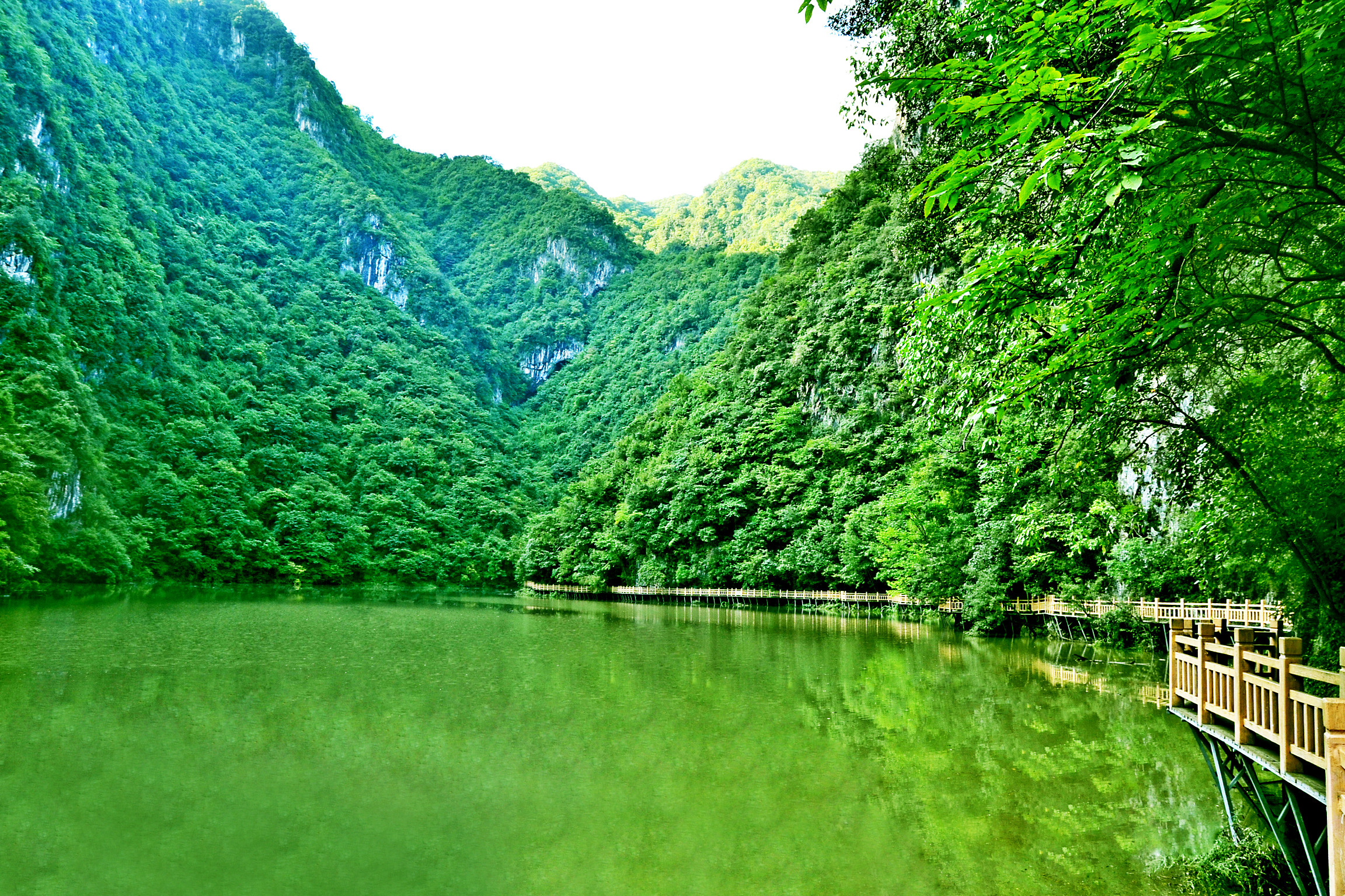 真“氧”人！趁周末一起去定格春日美好吧！