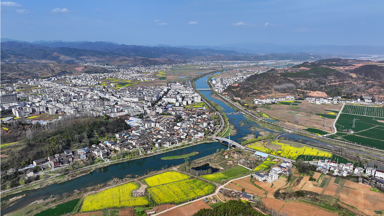 谢晓鸣主持召开全县项目谋划工作专题会