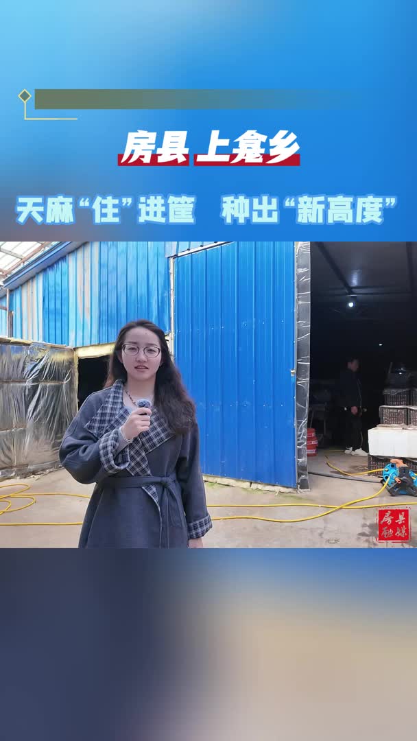 房县上龛乡：天麻“住”进框 增收有保障