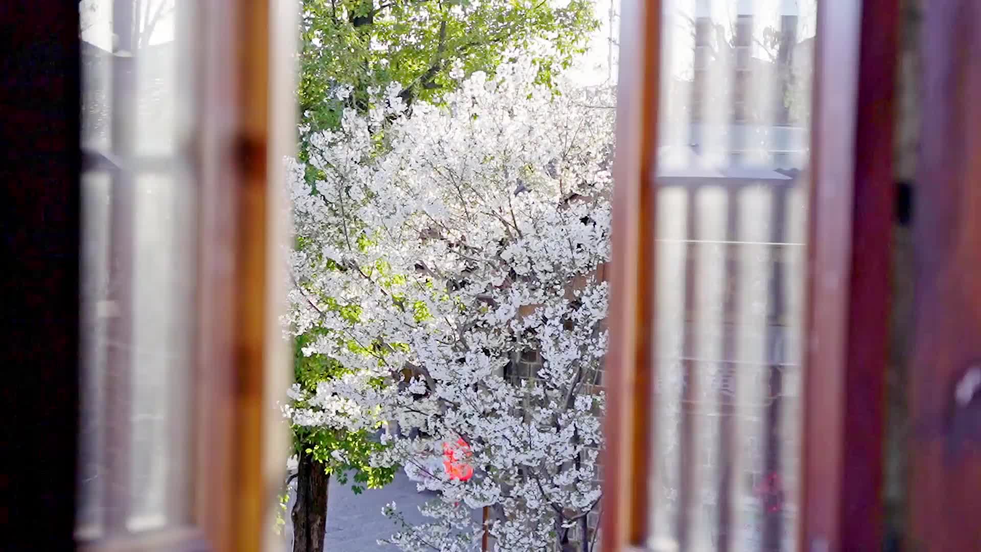 春风为信，以繁花为约，房县的春天把诗意都写进了风里