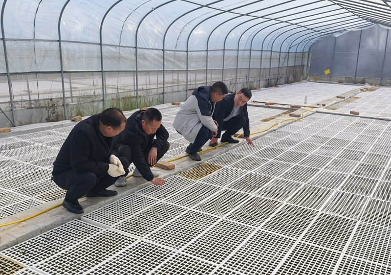 房县沙河乡：人勤春来早 烟叶育苗忙