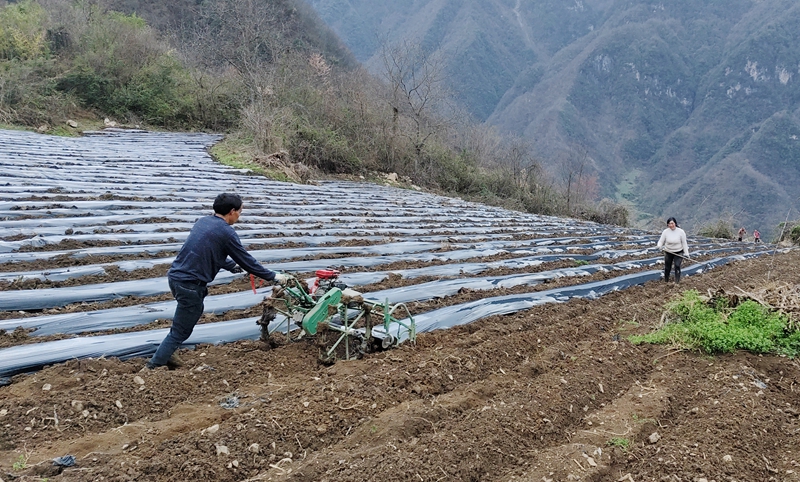 九道乡：万象“耕”新不负春
