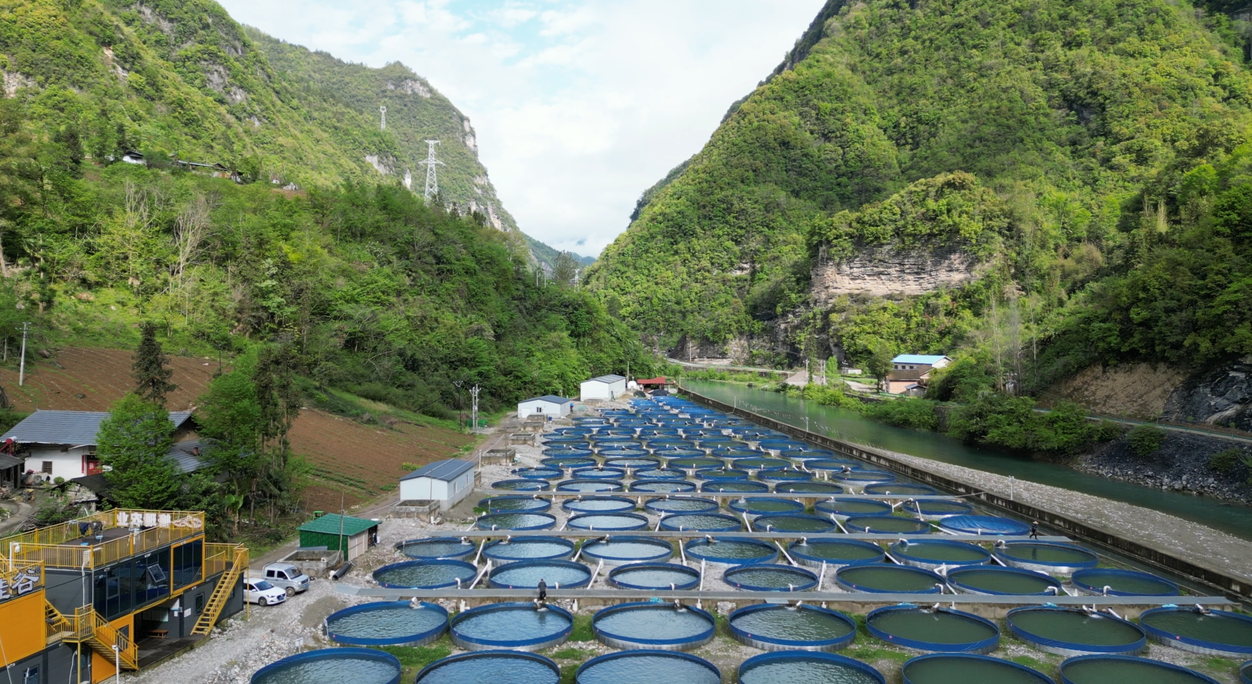 【记者走基层】九道乡：巧做“水文章” 拓宽振兴路