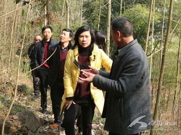 建始| 高起点规划标准化建设高品质运行旅游产业