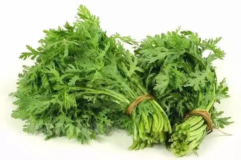 周末约起来_云上恩施