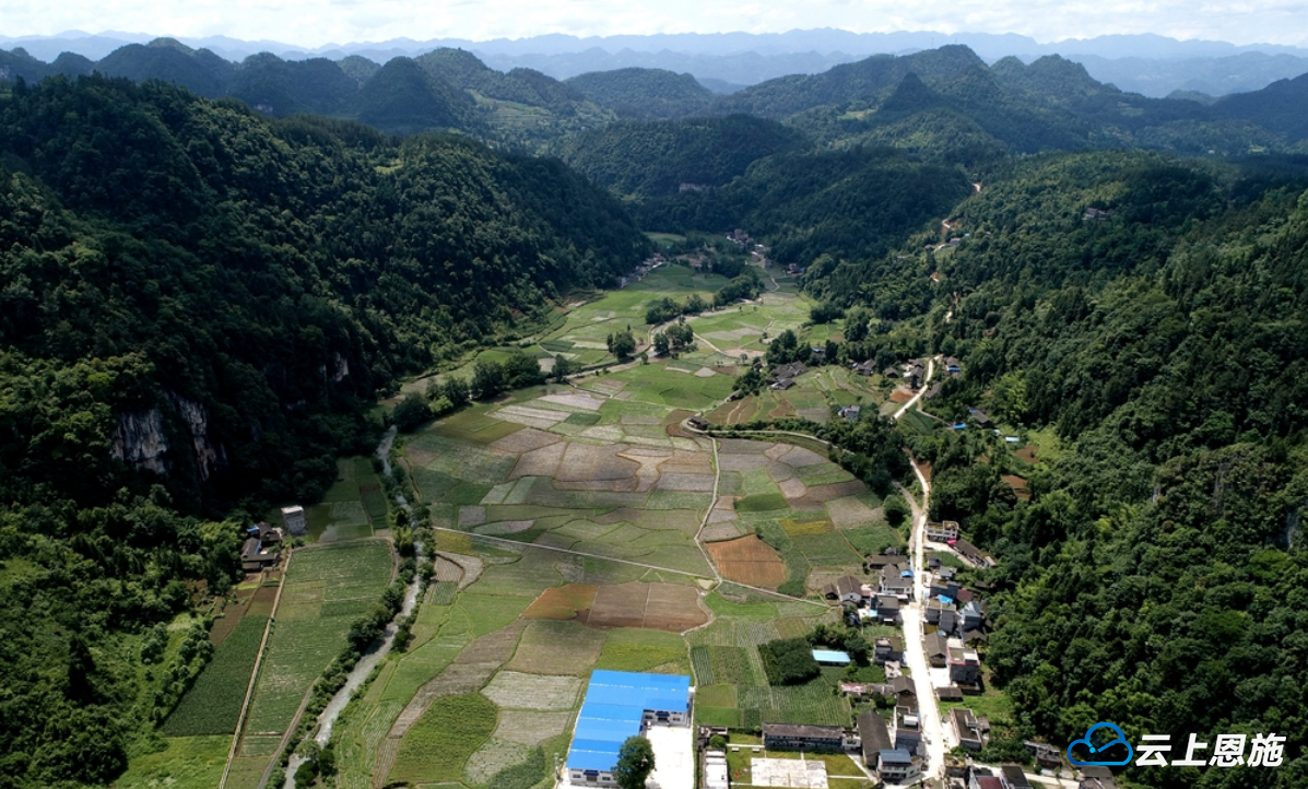 白涛 廖祖英)6月13日,记者在咸丰县唐崖镇大水坪村看到,一块块农田