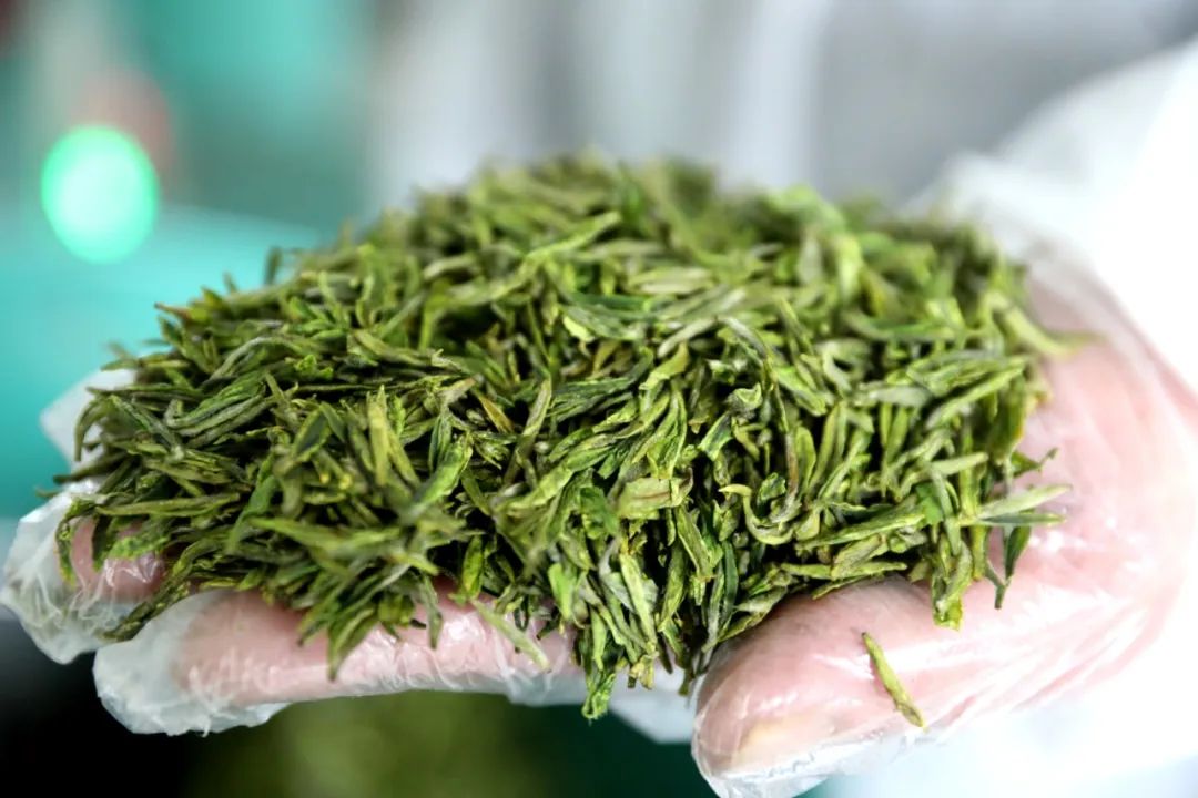 恩施硒茶已上市首批复工茶企订货电话在此