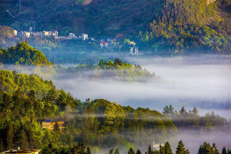 恩施利川毛坝茶山云海两相宜