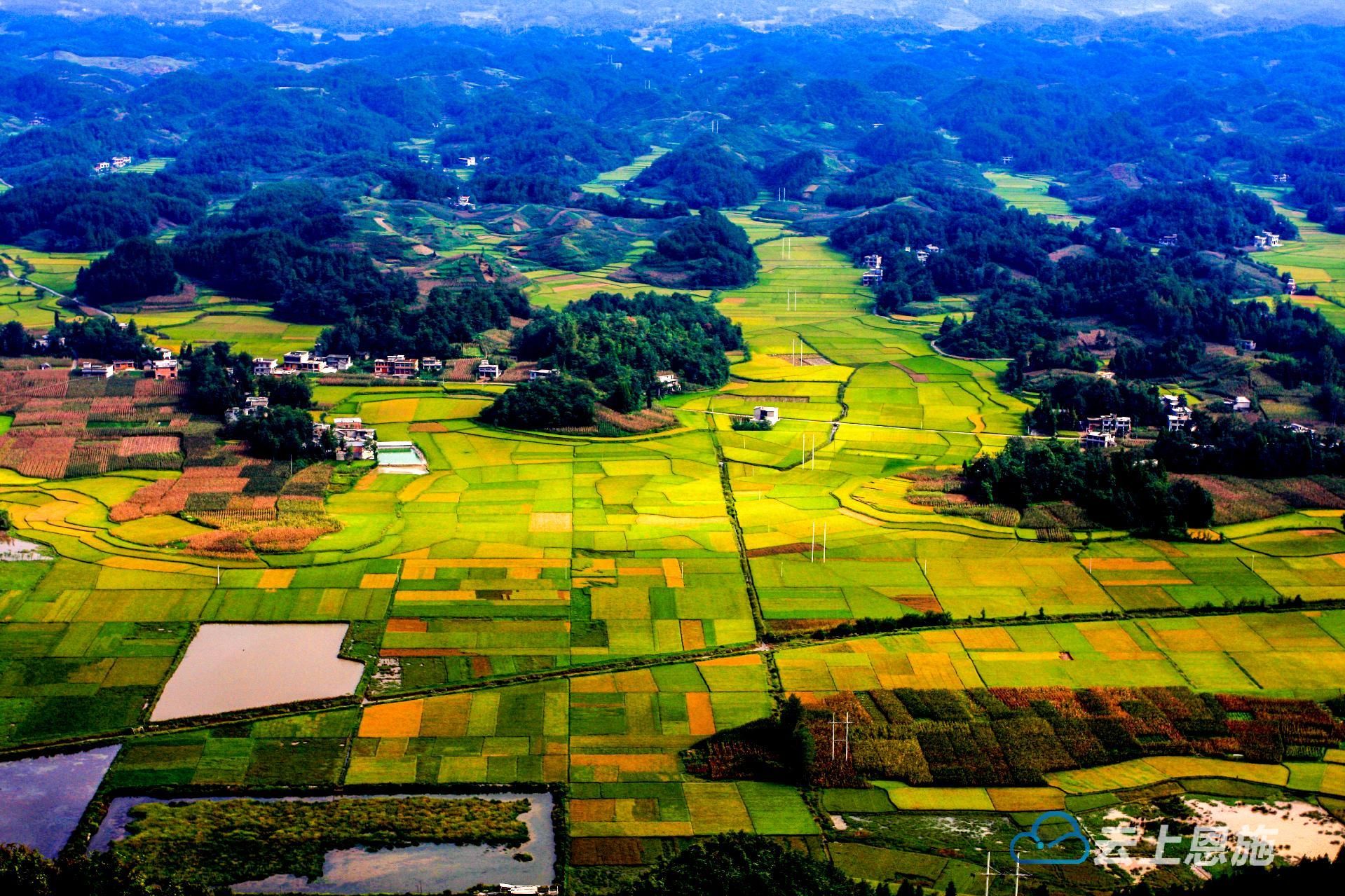组图利川齐岳山下大美南坪