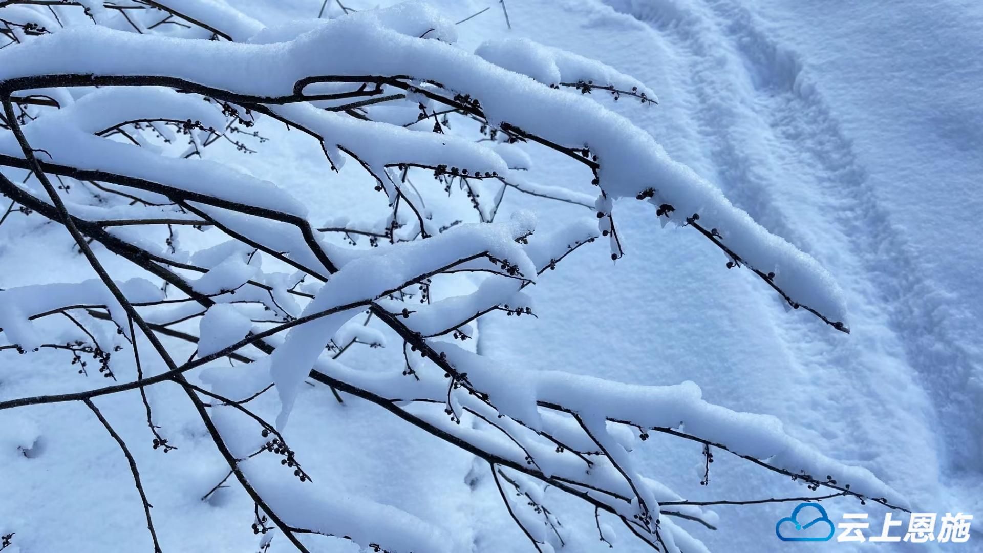 組圖建始陽春白雪好風光