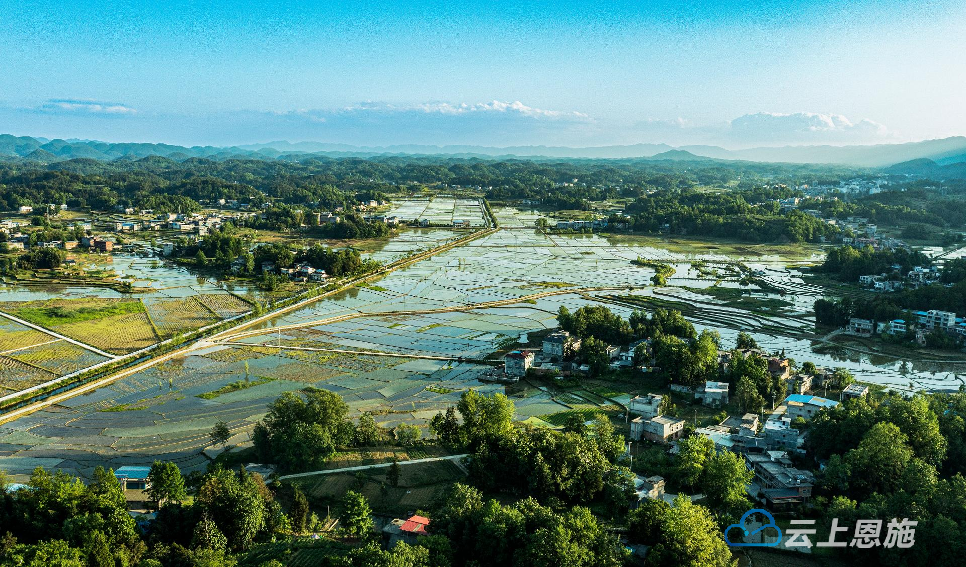 组图利川万亩稻田十色光影