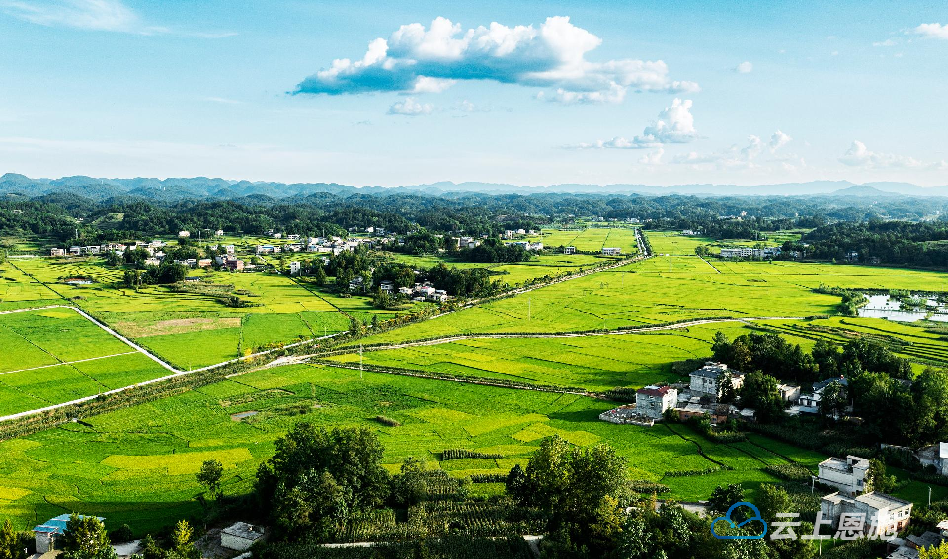 利川十里稻花香南坪乘凉梦