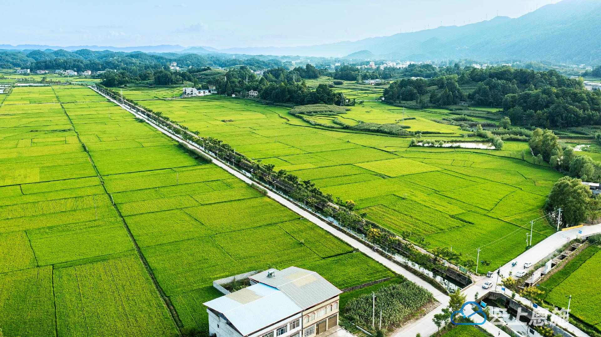 利川十里稻花香南坪乘凉梦