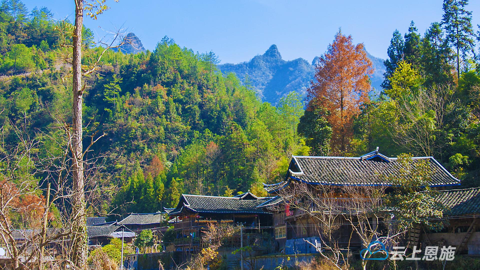 利川市沙溪乡党群合力共绘发展新画卷