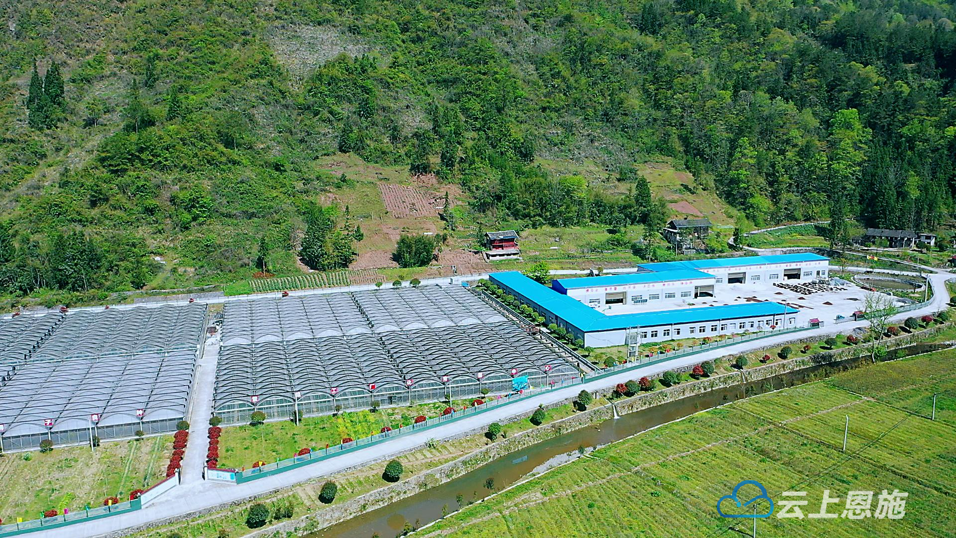 利川市沙溪乡党群合力共绘发展新画卷