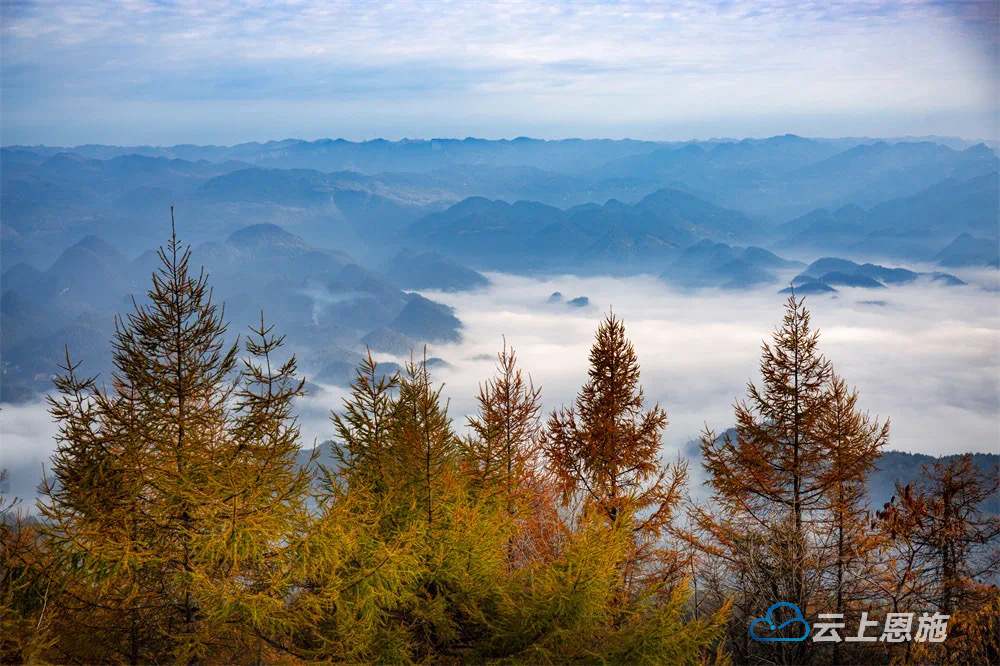 我想,只能用一句"晴空光影无限好,美景秋色天际来"来形容这金字山的美