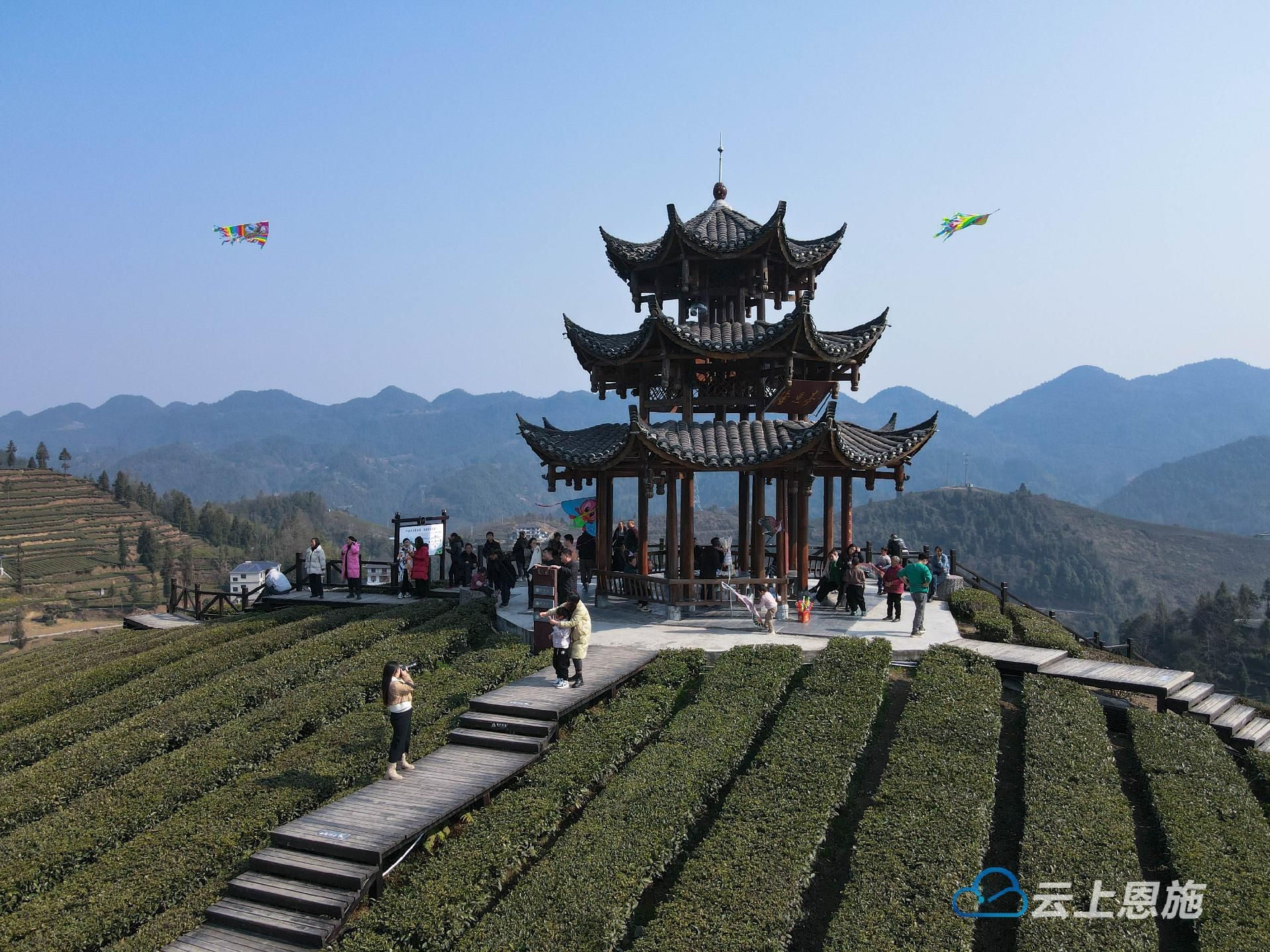 组图湖北宣恩纸鸢绕茶乡乐享乡村游